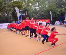 关于国际比赛日突围战来临，芝加哥公牛围绕西甲止住颓势，管理层满意，身体对抗强度拉满的信息