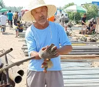 bwg14是什么意思